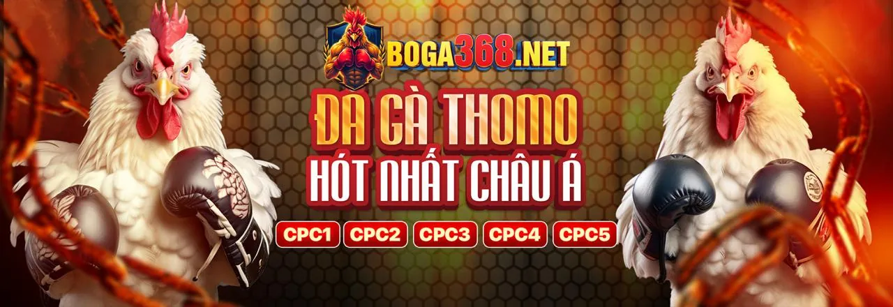 Khuyến mãi cá cược thể thao SC88